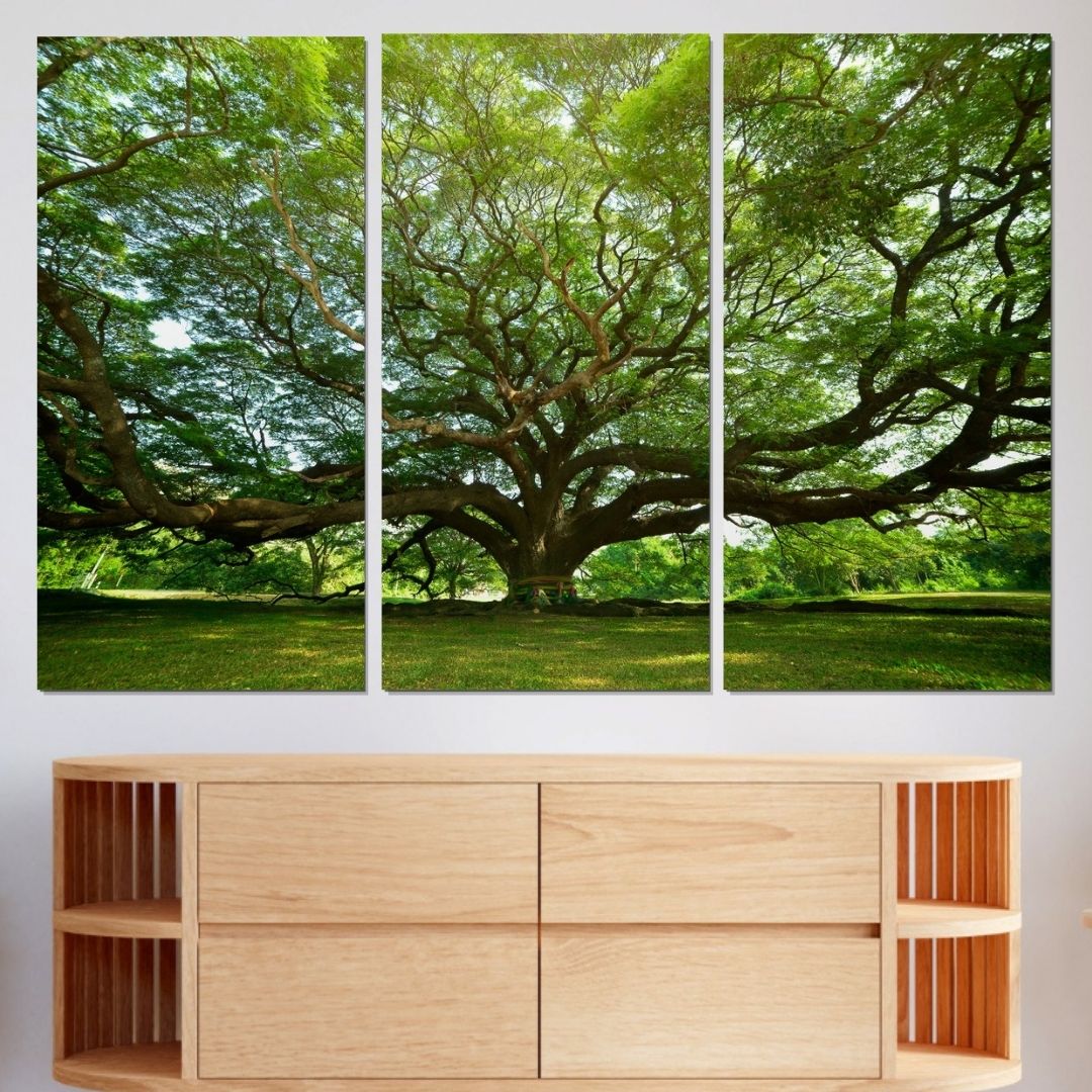 Quadro Decorativo Três Telas - Árvore Grande - 180x120cm