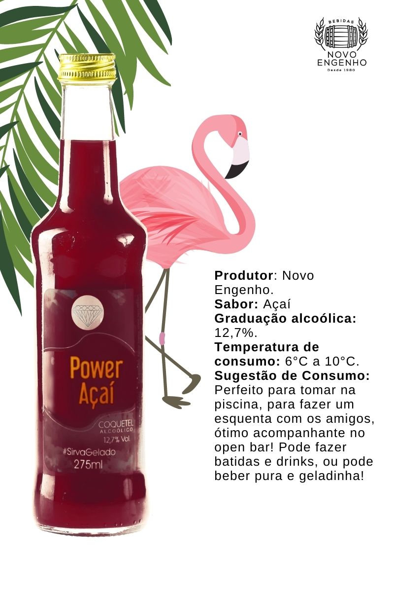Coquetel Alcoólico Pinga Roxa Drink Power Açaí Sweet 275ml