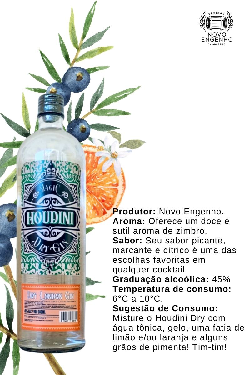 Gin Houdini Dry 980ml