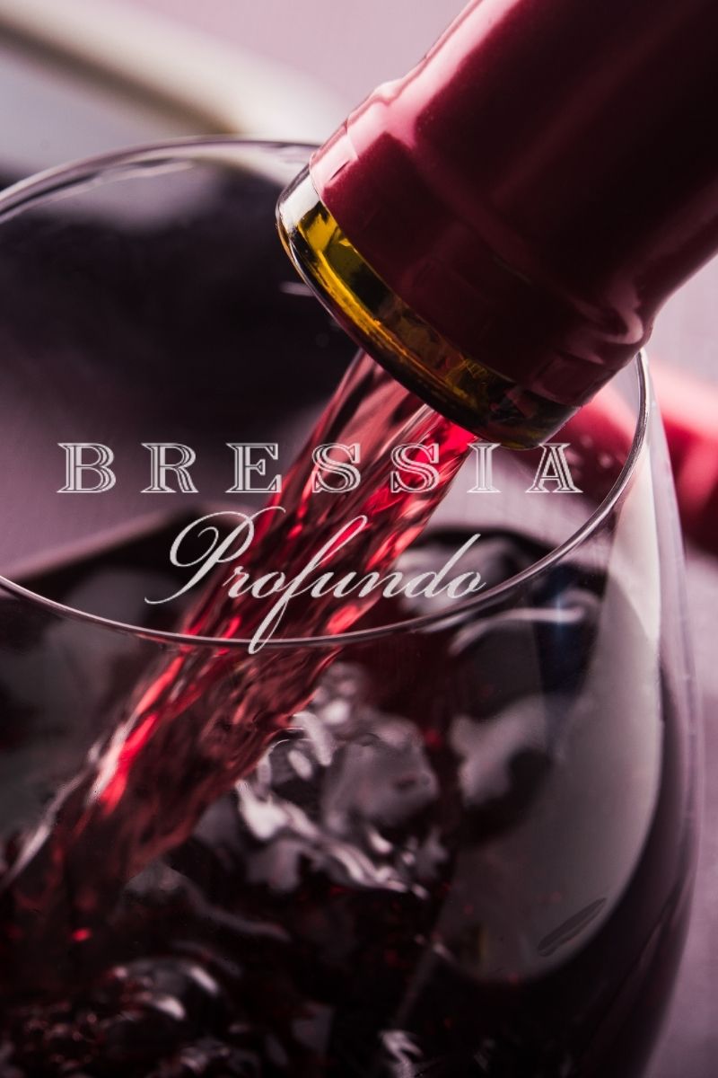 Vinho Tinto Argentino Bressia Profundo Blend 2016