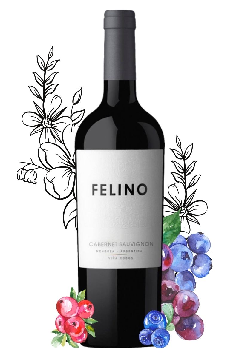 Vinho Tinto Argentino Felino Cabernet Sauvignon 2019