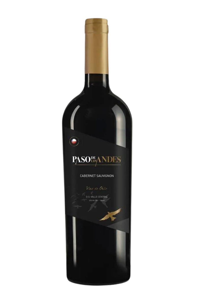 Vinho Tinto Chileno Paso De Los Andes Cabernet Sauvignon 2019