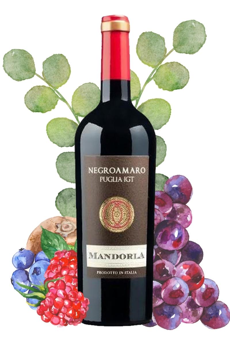 Vinho Tinto Italiano Mandorla Negroamaro Puglia Igt 2017