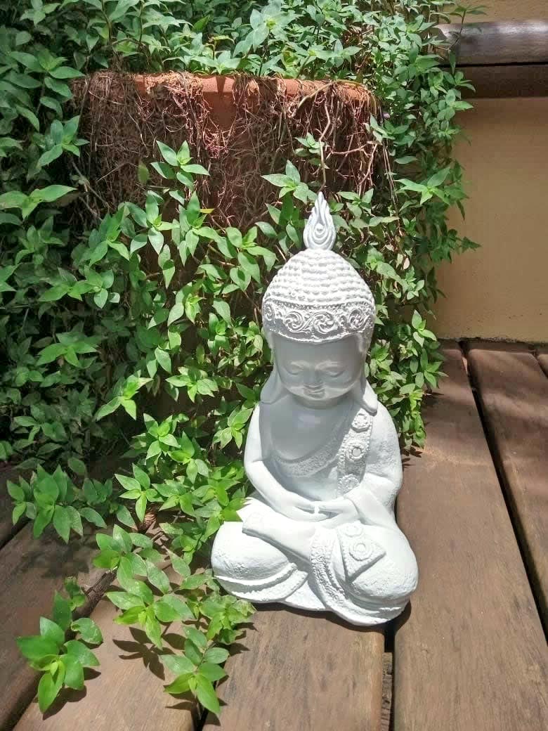 Buda Yogi