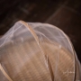 Cesto Porta Pão Retrátil de Bambu com Tule Transparente