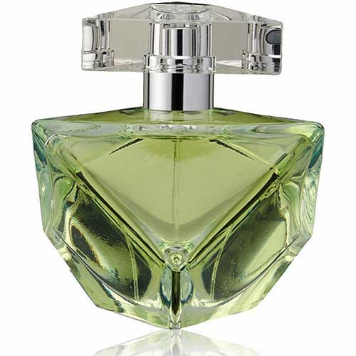 Perfume Believe Britney Spears Eau de Parfum Feminino 100 ml
