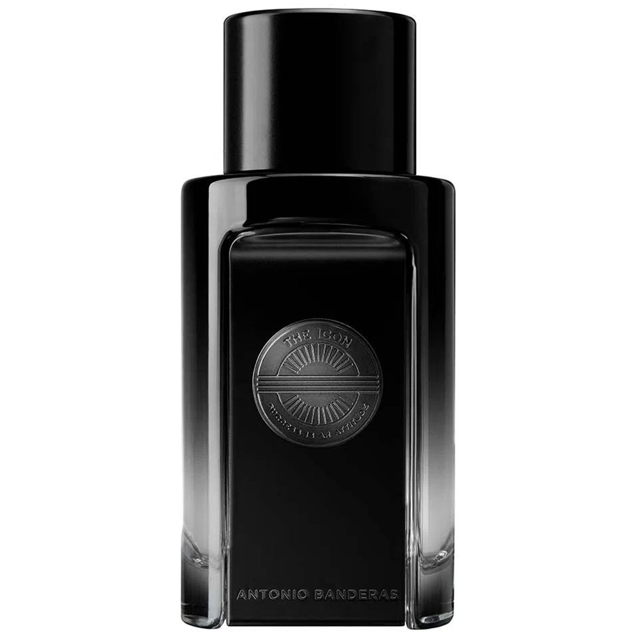 Perfume Icon The Perfume Antonio Banderas Eau de Parfum Masculino 100 ml