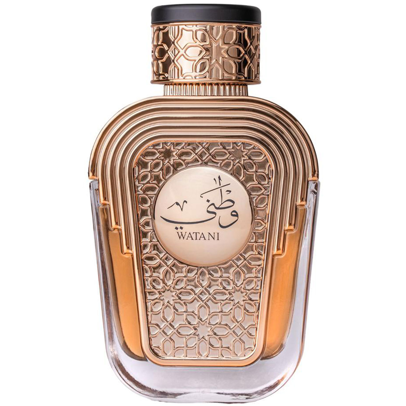 Perfume Árabe Watani de Al Wataniah Eau De Parfum Feminino 100ml