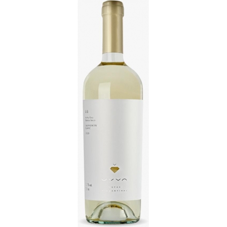 Vinícola Uvva Sauvignon Blanc safra 2020