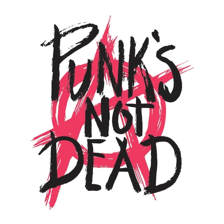 Camiseta INFANTIL Punks Not Dead - Foto 1