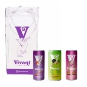 Kit Vivant com 3 Vinhos e 1 IceBag Roxa
