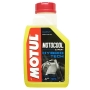 Liquido Arrefecimento Motocool Expert Motul 4 Litros