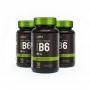 Kit 3x Vitamina B6 - 70 cápsulas