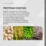 Fresh Vegan Proteína Vegana 520G - Dux