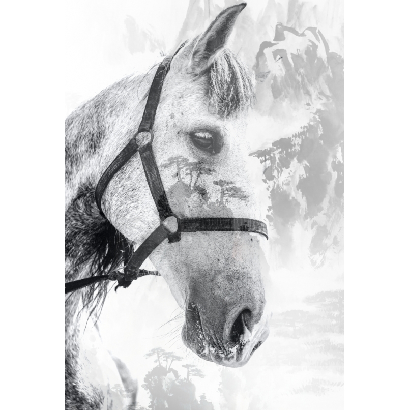 Quadro Cavalo Branco - Moldura Caneleta