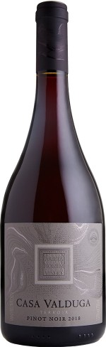 TERROIR Pinot Noir - Casa Valduga - Brasil - SAFRA 2018 - 750 ml  - Armazém do Serra 