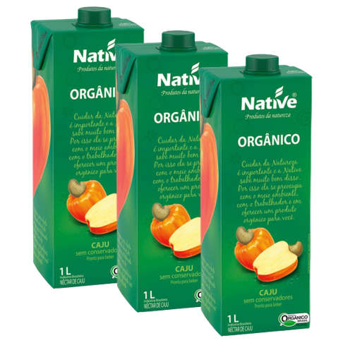Néctar de Caju Orgânico 1L - Native (Kit com 3)