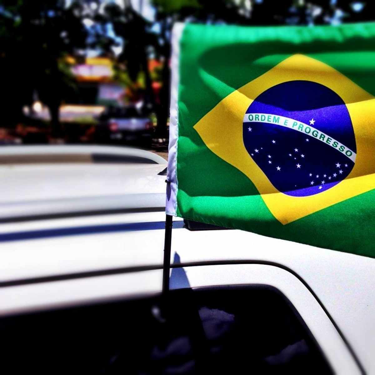Bandeira do Brasil Tecido Para Carro c/ Haste 30x40cm