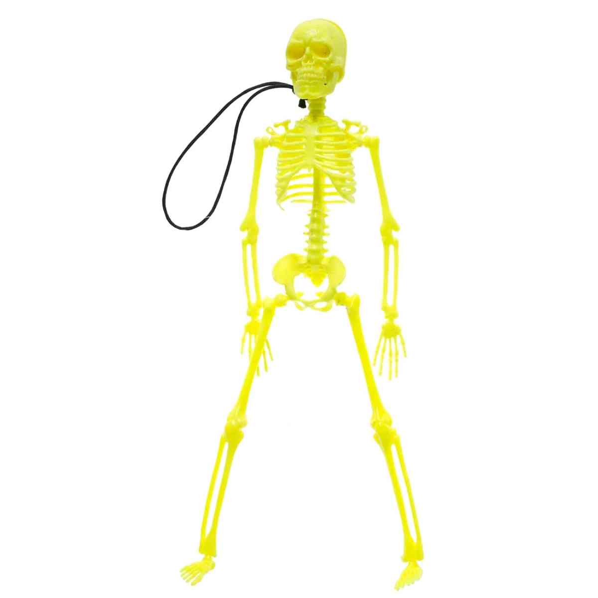 Enfeite Esqueleto Cores Fluorescentes 34cm