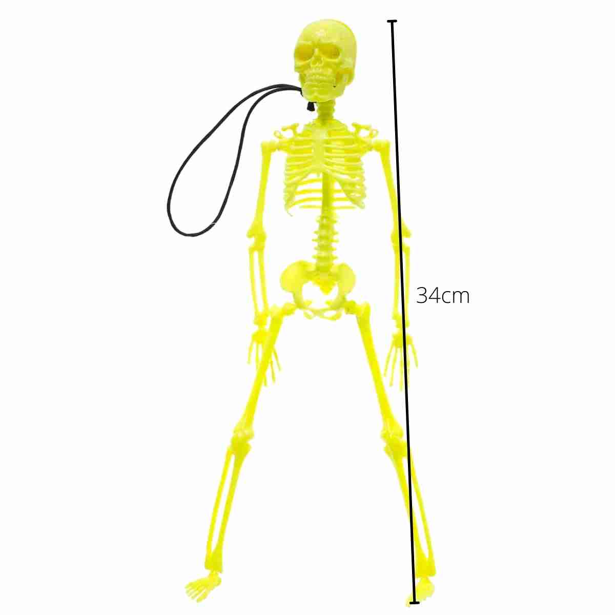 Enfeite Esqueleto Cores Fluorescentes 34cm