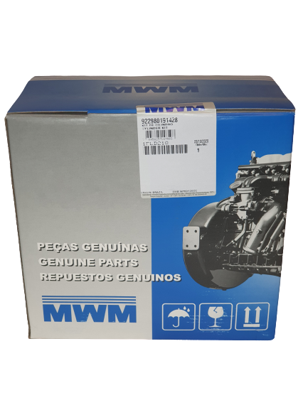 Kit Motor STD MWM 299-4 1 Cil. Ford F1000 Aspirada - MWM