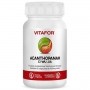 Acanthopanax (ci Wu Jia) 60 Cápsulas De 400mg - Vitafor