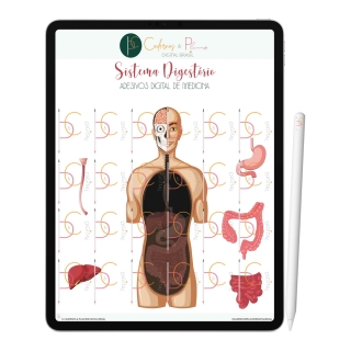 Adesivos Digital de Medicina - Sistema Digestório | iPad Tablet | Download Instantâneo