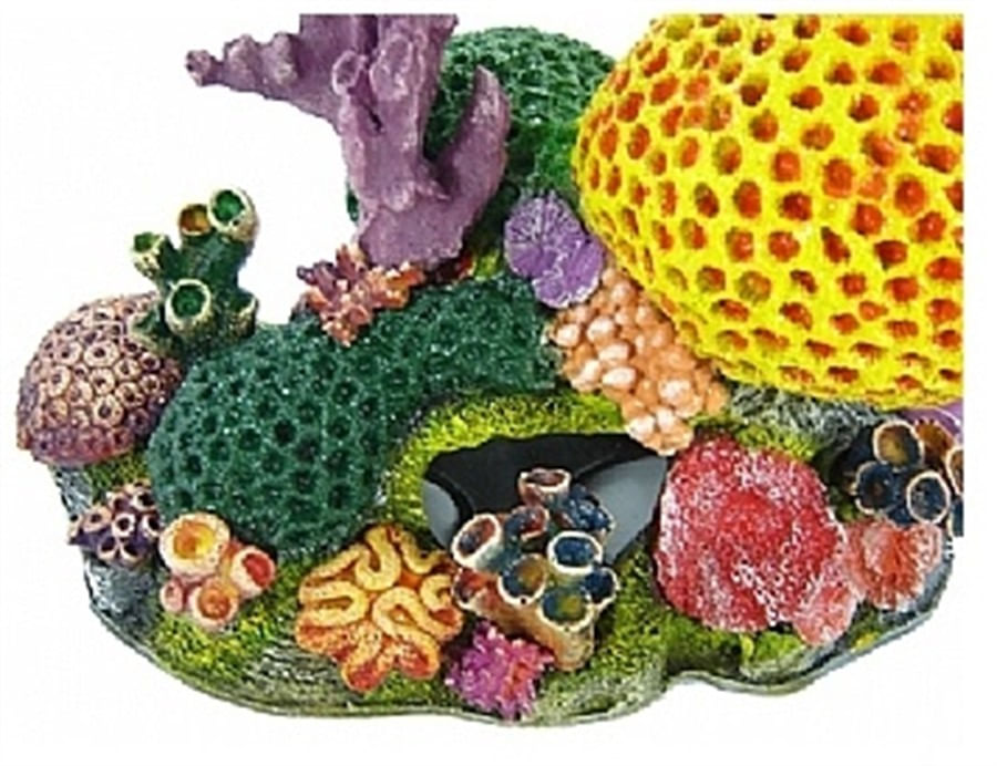 Aquária Enfeite de Resina Coral Nemo (C-09)