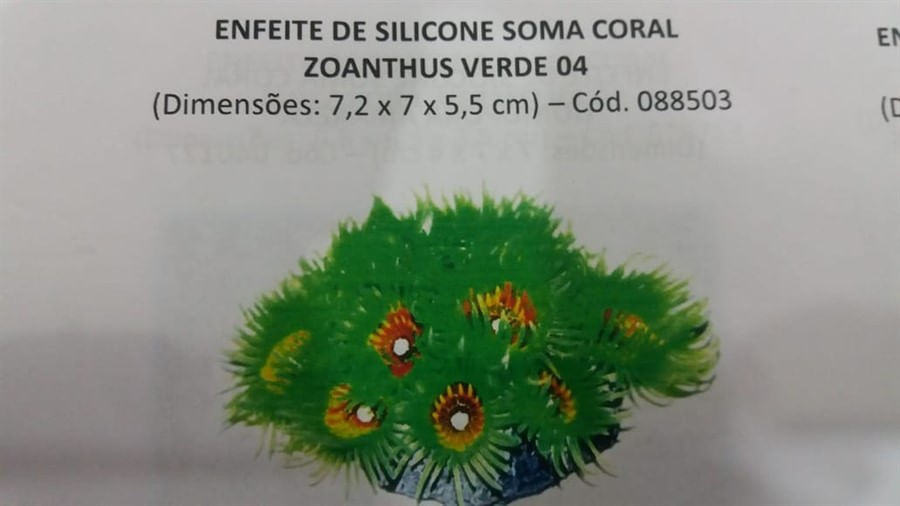 Enfeite de resina Soma Coral Zoanthus Verde
