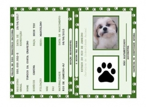 - Kit Rg Pet - Carteira De Identidade Para Pets (10 Unidades)