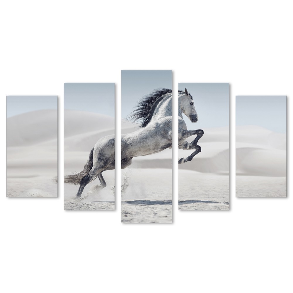 Kit 5 Quadros Decorativos Cavalo Branco 