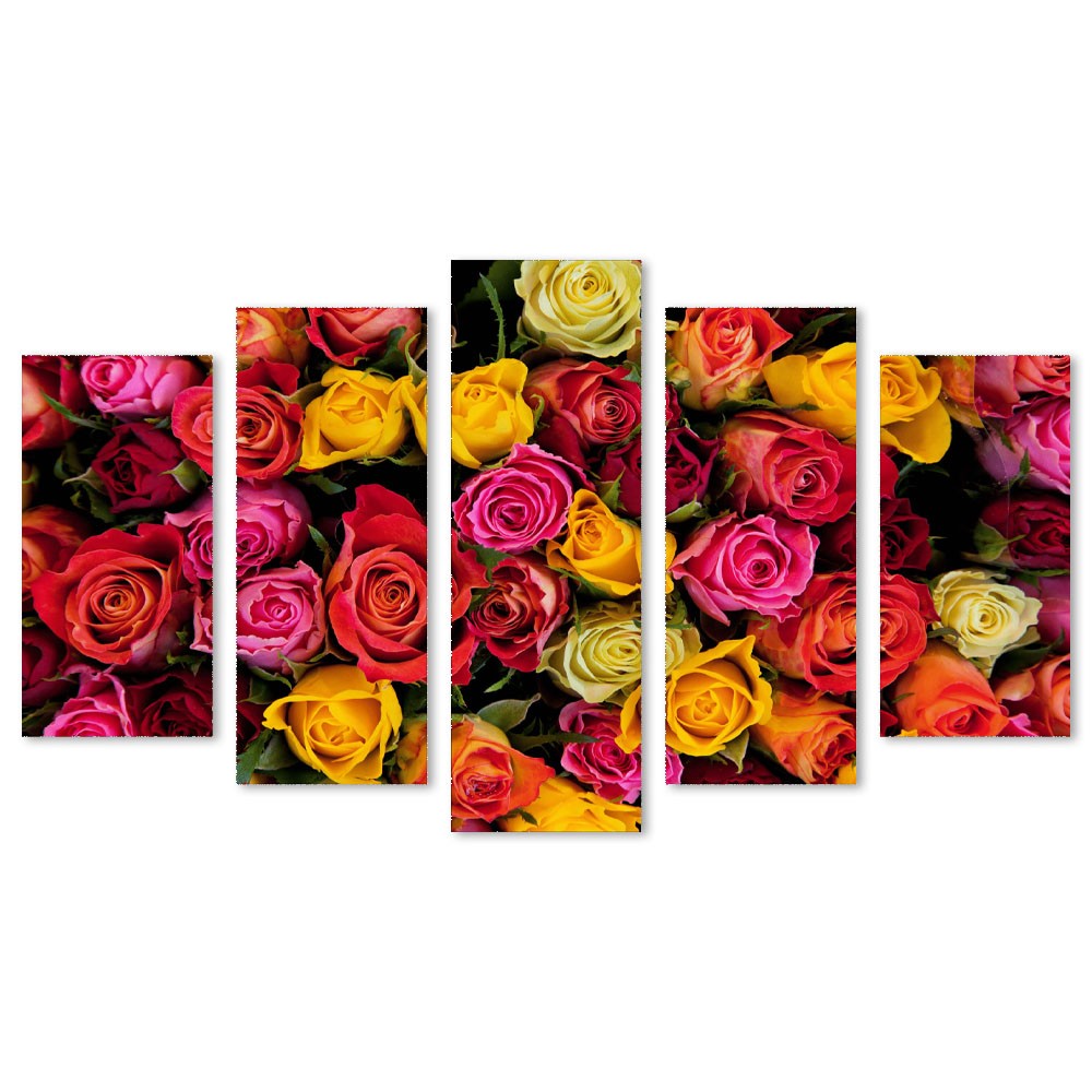 Kit 5 Quadros Decorativos Flores Coloridas