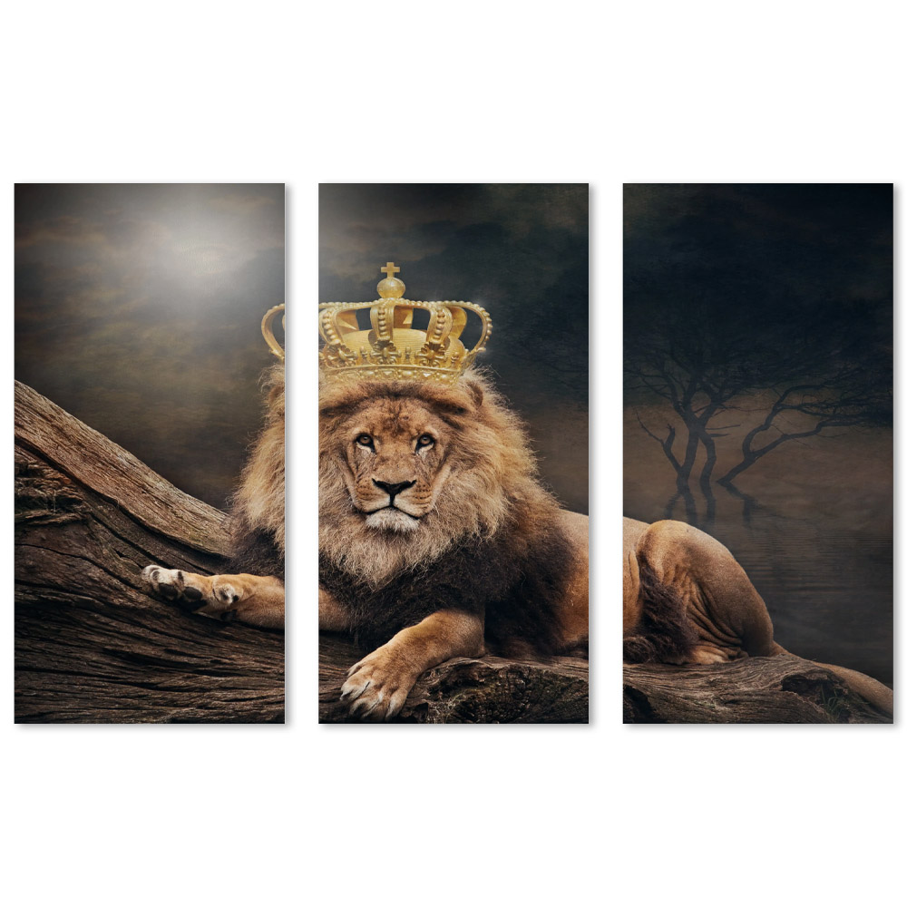 Kit Quadros Decorativos Rei Leão