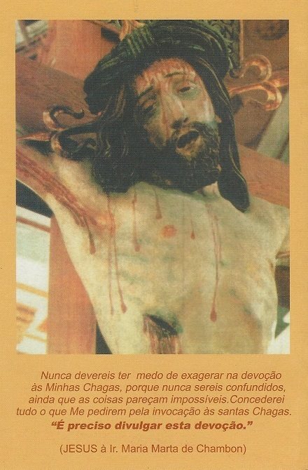 Santas Chagas de Jesus - Livro