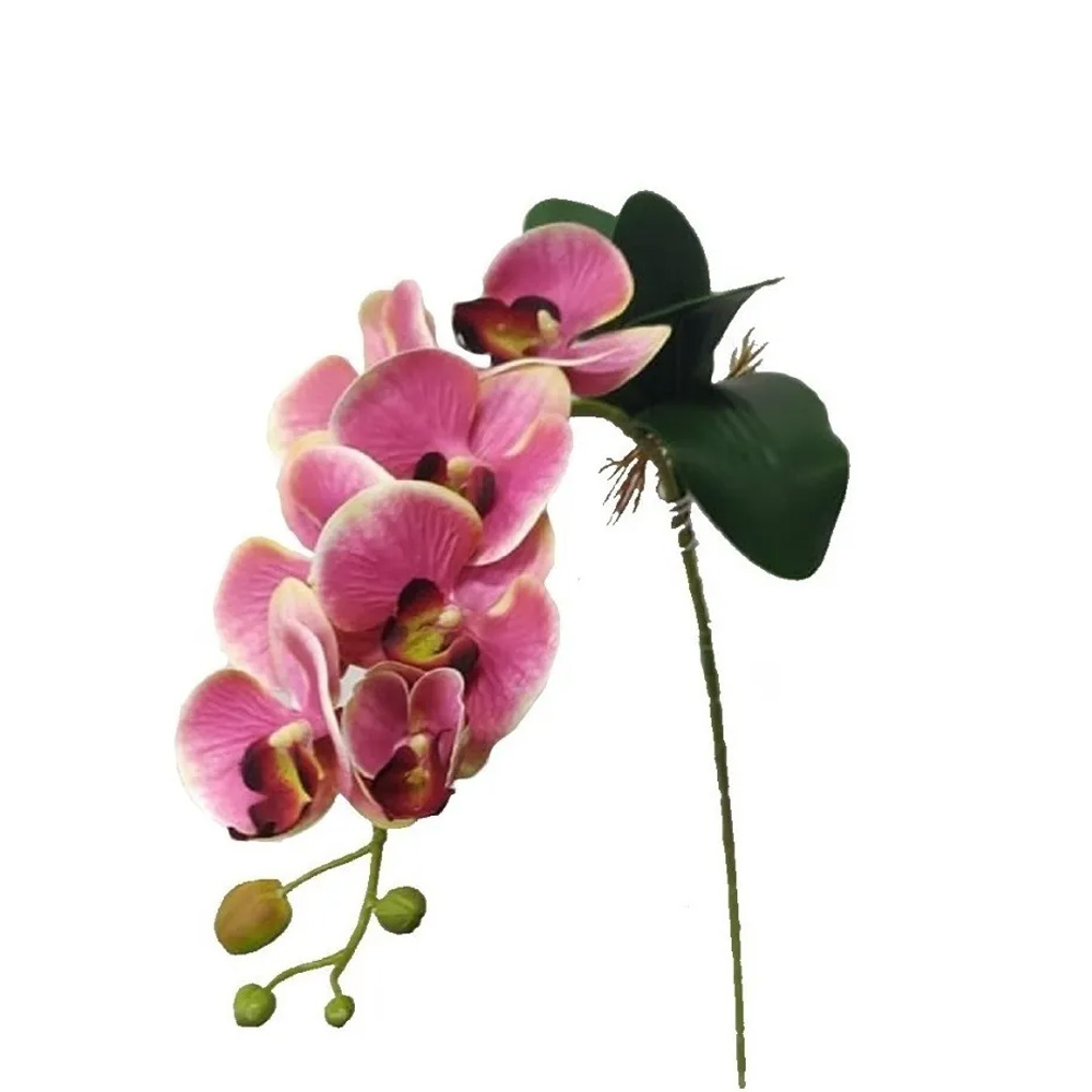 Orquídeas Rosas Haste de Flores