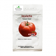 Sementes de Tomate Híbrido Invicto Env. C/ 1.000 Sementes