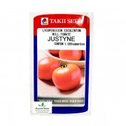 Sementes de Tomate Híbrido Justyne Env. C/ 1.000 Sementes