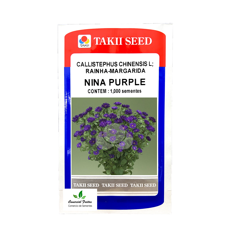 Sementes de Flor Rainha Margarida Aster Nina Purple Env. C/ 1.000 Sementes