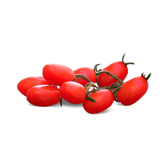 Sementes de Tomate Grape Híbrido IGR0048 Env. C/ 500 Sementes
