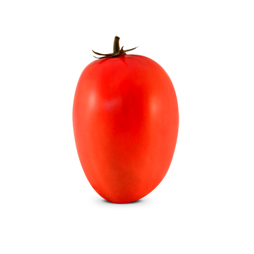 Sementes de Tomate Híbrido BS DI0083 Env. C/ 1.000 Sementes