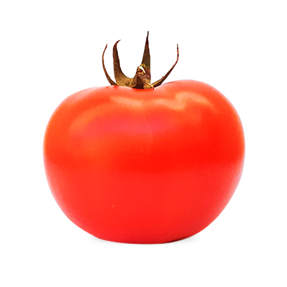 Sementes de Tomate Híbrido BS DS0005 Env. C/ 1.000 Sementes