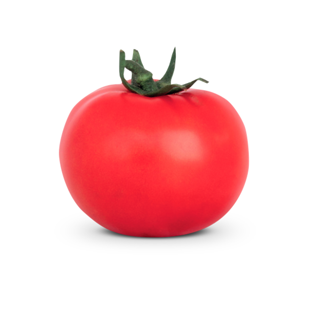 Sementes de Tomate Híbrido BS DS0060 Env. C/ 1.000 Sementes