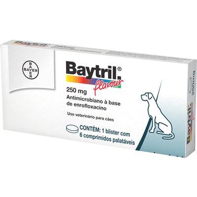 BAYTRIL 250MG 6 COMP.
