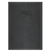 Agenda Executiva Costurada Diária - 2022