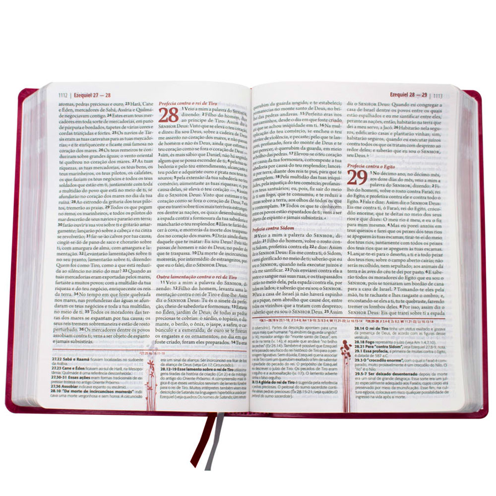 A Bíblia Da Mulher | ARA | Capa Couro Sintético | Violeta