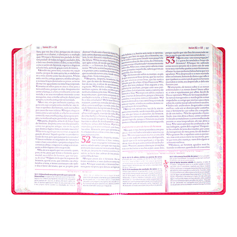 A Bíblia Da Mulher - Ara - Beiras Florida - Capa Couro Sintético Goiaba