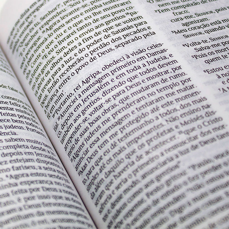 Bíblia 365 Coroa | Nvt | Capa Dura | Ilustrada