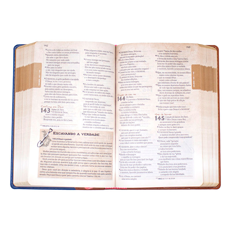 Bíblia Das Descobertas Para Adolescentes Flor | NTLH | Capa Luxo | Marrom E Lilás