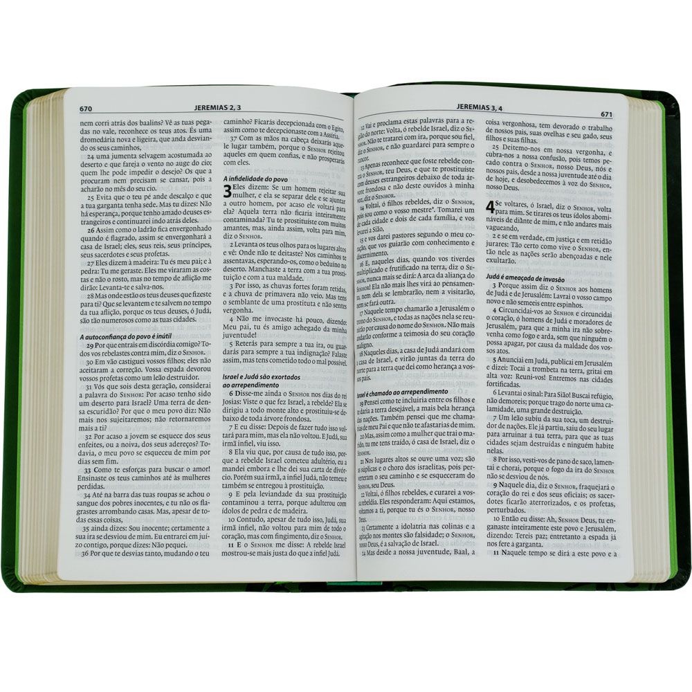 Bíblia De Estudo Esperança - Século 21 - Luxo - Capa Pu Verde