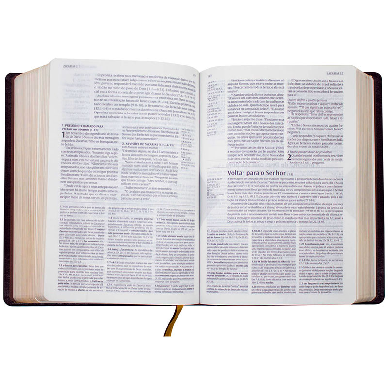 Bíblia De Estudo | NVT | Capa Pu | Vinho